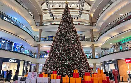 VR Surat Welcomes the Holiday Season with Festive Cheer - (21st November 2024)